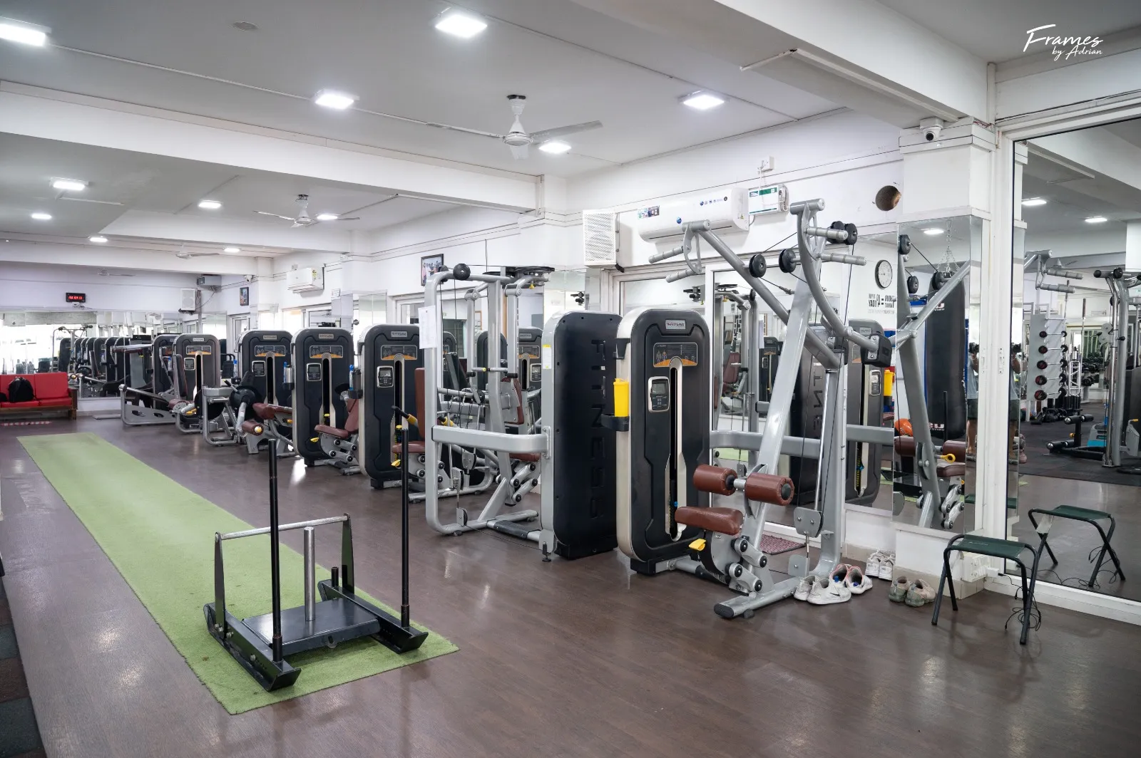 Strength machinery zone with commercial resistance-training equipment.